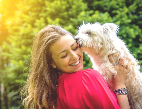 7 Pet Related Infections in Humans