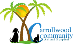 Carrollwood Community Animal Hospital Logo