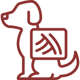 Diagnostics-icon