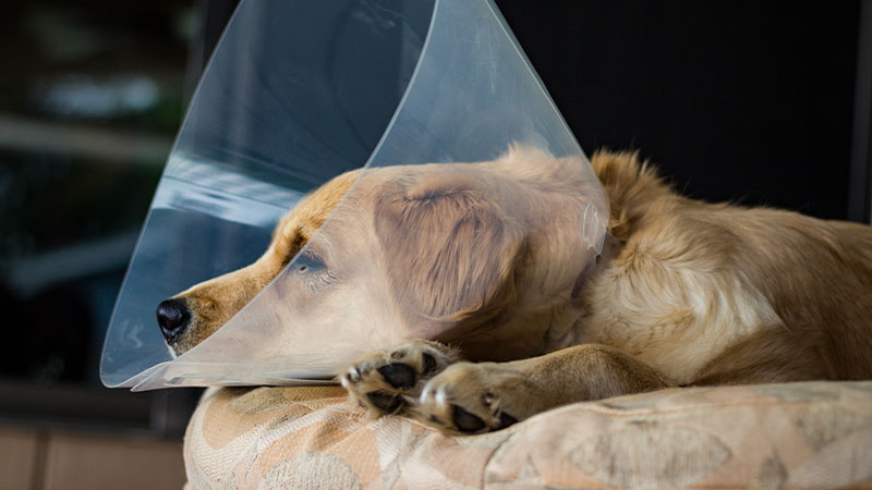Laser-Surgery-img