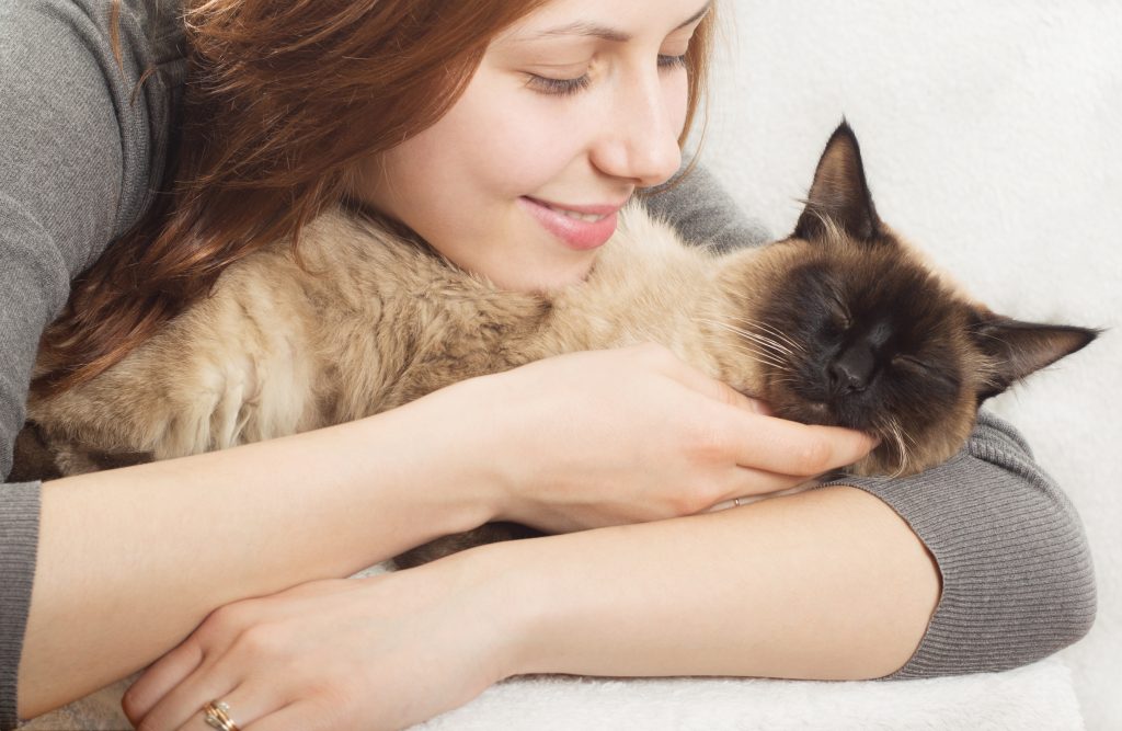 What is feline friendly
