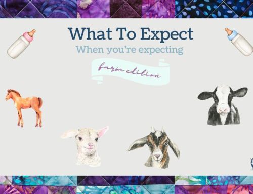 What To Expect When You’re Expecting: Farm Edition