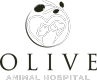Olive Animal Hospital