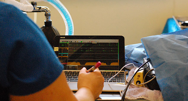 anesthesia-monitor