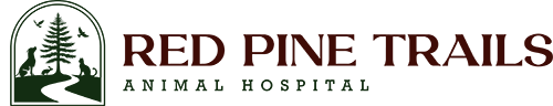 primary-horizontal-logo