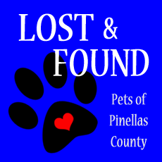 lostandfound