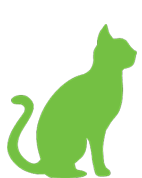 cat-img-11