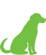 dog-(1)